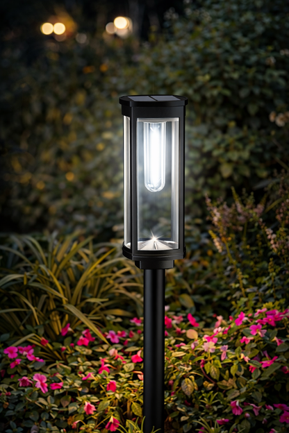 Solar Pathway Lights