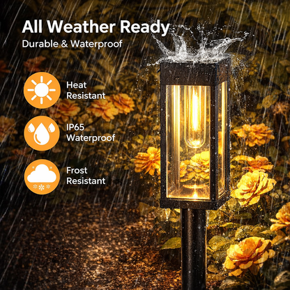 Solar Pathway Lights